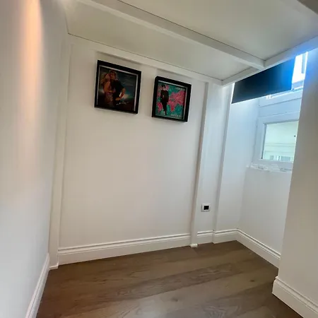 Apartment Lion