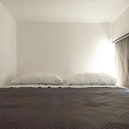 Apartment Lion