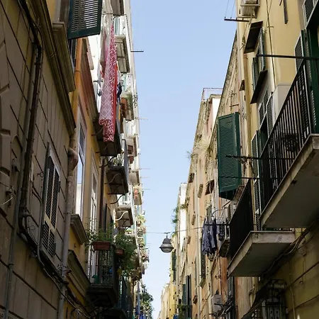 Lion Napoli