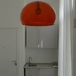Apartamento Lion